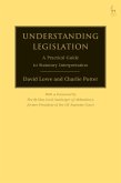 Understanding Legislation (eBook, ePUB)