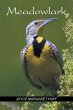 Meadowlark - Bild 1