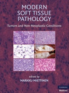 Cover Modern Soft Tissue Pathology (eBook, ePUB)