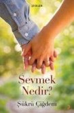 Sevmek Nedir