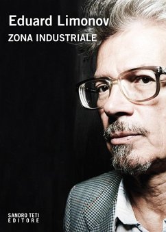 Cover Zona industriale