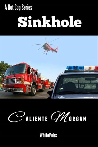 Sinkhole (eBook, ePUB)