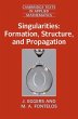 Singularities: Formation, Structure,... - Bild 1