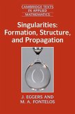 Singularities: Formation, Structure, and Propagation (eBook, ePUB)