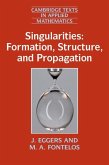 Singularities: Formation, Structure, and Propagation (eBook, ePUB)