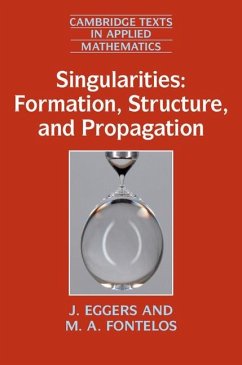Cover Singularities: Formation, Structure, and Propagation (eBook, ePUB)
