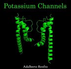 Potassium Channels (eBook, PDF)