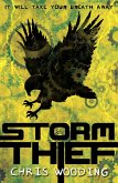 Storm Thief (eBook, ePUB)