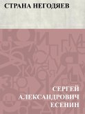 Strana negodjaev (eBook, ePUB)