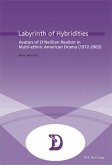 Labyrinth of Hybridities (eBook, PDF)