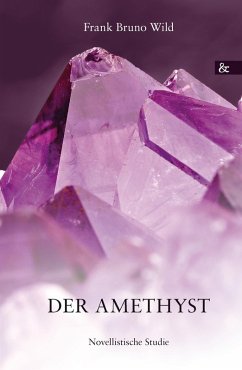 Der Amethyst (eBook, PDF) - Wild, Frank Bruno