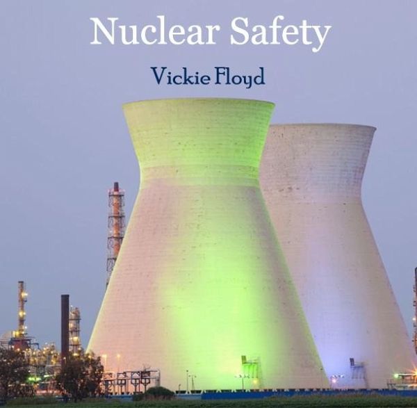 Nuclear Safety (eBook, PDF)