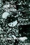 Numerical Petrology (eBook, PDF) - Maitre, R. W. Le