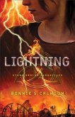 Lightning (Stone Braide Chronicles Book #2) (eBook, ePUB)