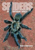 Spiders of Southern Africa (eBook, PDF)