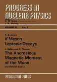 K Meson Leptonic Decays (eBook, PDF)