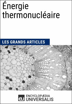 Énergie thermonucléaire (eBook, ePUB) - Encyclopaedia Universalis; Les Grands Articles