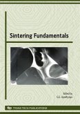 Sintering Fundamentals (eBook, PDF)