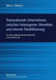 Transnationale Unternehmen zwischen heterogenen Umwelten und interner Flexibilisierung (eBook, PDF)