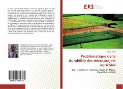 Problématique de la durabilité des microprojets agricoles - Tindé, Bakary