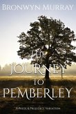 The Journey to Pemberley: A Pride and Prejudice Varation (eBook, ePUB)