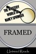 Framed (eBook, ePUB) - Bild 1
