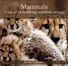 Mammals (class of air-breathing... - Bild 1