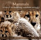 Mammals (class of air-breathing vertebrate animals) (eBook, PDF)