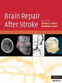 Brain Repair After Stroke (eBook, ePUB)