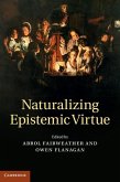 Naturalizing Epistemic Virtue (eBook, ePUB)