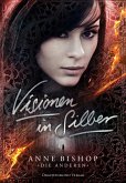 Visionen in Silber / Die Anderen Bd.3