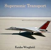 Supersonic Transport (eBook, PDF)