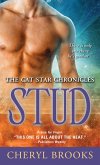 Stud (eBook, ePUB)