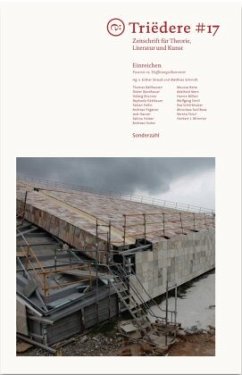 Cover Triëdere #17: Einreichen