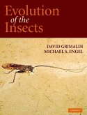Evolution of the Insects (eBook, ePUB)