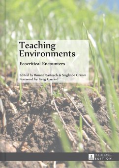 Teaching Environments (eBook, ePUB)