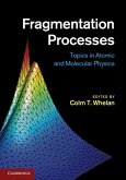 Fragmentation Processes (eBook, ePUB)
