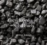 Encyclopedia of Solid Fuels (eBook, PDF) - Bild 1