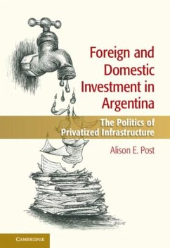 Foreign and Domestic Investment in Argentina (eBook, PDF) - Post, Alison E.