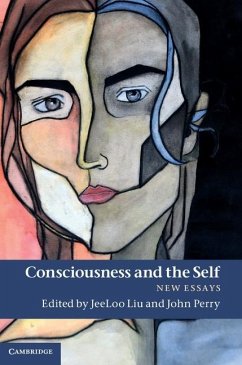 Consciousness and the Self (eBook, ePUB)