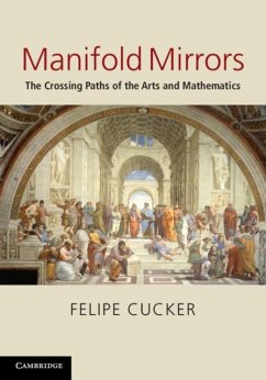 Manifold Mirrors (eBook, PDF) - Cucker, Felipe