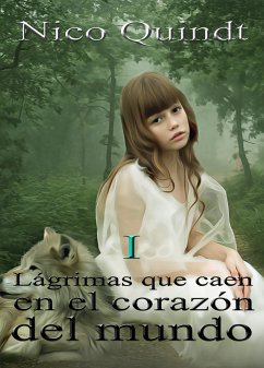 Lágrimas que caen en el corazón del mundo (eBook, ePUB) - Quindt, Nico; Quindt, Nico