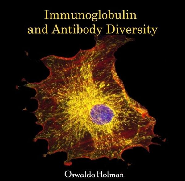 Immunoglobulin and Antibody Diversity (eBook, PDF)