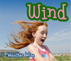 Cover Wind (eBook, PDF)