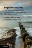 Regulatory Waves (eBook, ePUB)