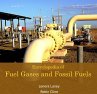Encyclopedia of Fuel Gases and Fossil... - Bild 1