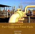 Encyclopedia of Fuel Gases and Fossil Fuels (eBook, PDF) Encyclopedia of Fuel Gases and Fossil Fuels (eBook, PDF)