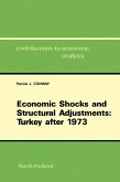 Economic Shocks and Structural Adjustments: Turkey after 1973 (eBook, PDF)