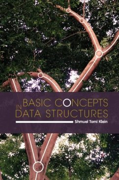 Basic Concepts in Data Structures (eBook, PDF) - Klein, Shmuel Tomi