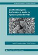 Modified Inorganic Surfaces as a Model... - Bild 1